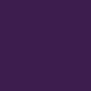 Unisex nohavice Dickies - fialová