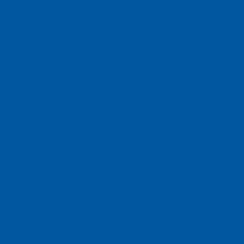 Unisex blúza V-výstrih - kráľovská modrá