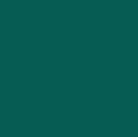 Dámska blúzaKIRA Grey´s Anatomy LOVE - poľovnícka zelená